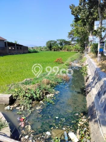 Tanah di Grogol, Solo Luas 1585m2 Dijual Segera Tanah di Grogol, Solo Luas 1585m2 Dijual Segera