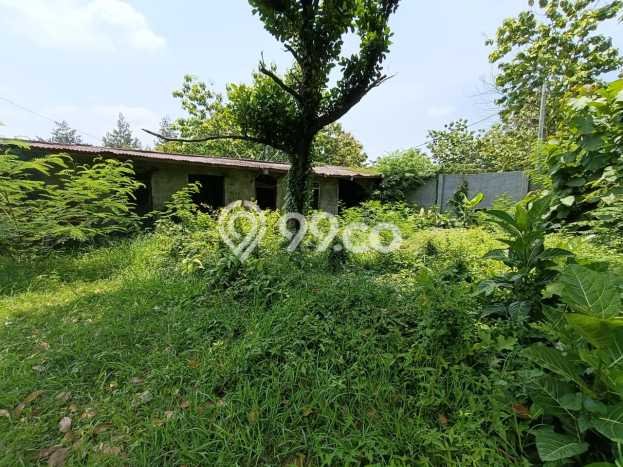 Dijual Tanah di Gondangrejo Karanganyar Luas 2500m2 SHM Dijual Tanah di Gondangrejo Karanganyar Luas 2500m2 SHM