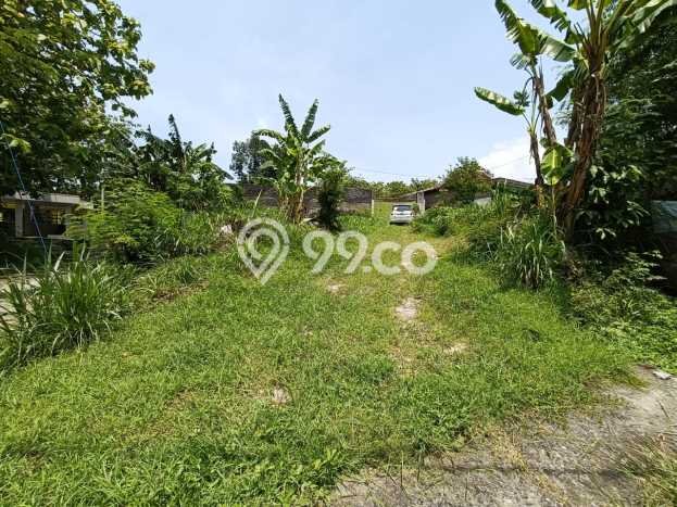 Dijual Tanah di Gondangrejo Karanganyar Luas 2500m2 SHM Dijual Tanah di Gondangrejo Karanganyar Luas 2500m2 SHM