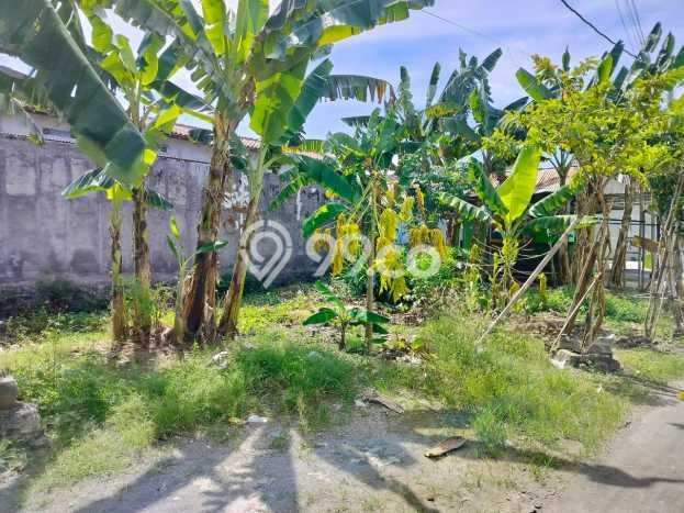 Tanah Dijual Lokasi Solo Baru, Solo dengan Luas Tanah 198m2 dan Status SHM Tanah Dijual Lokasi Solo Baru, Solo dengan Luas Tanah 198m2 dan Status SHM