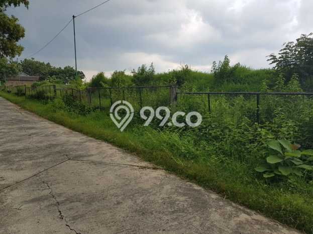 Lahan Dijual Lokasi Gondangrejo, Karanganyar dengan Luas Tanah 10920m2 dan Status SHM Lahan Dijual Lokasi Gondangrejo, Karanganyar dengan Luas Tanah 10920m2 dan Status SHM