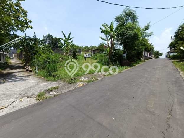 Dijual Tanah di Gondangrejo Karanganyar Luas 2500m2 SHM Dijual Tanah di Gondangrejo Karanganyar Luas 2500m2 SHM