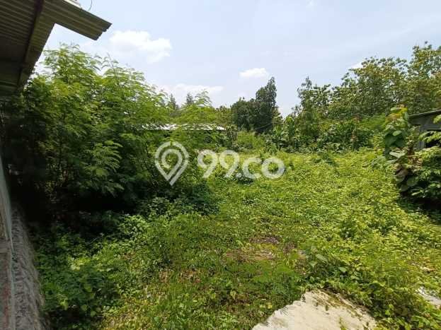 Dijual Tanah di Gondangrejo Karanganyar Luas 2500m2 SHM Dijual Tanah di Gondangrejo Karanganyar Luas 2500m2 SHM