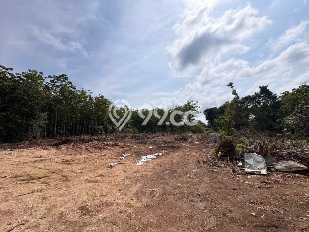 Dijual Tanah 3550m2 di Kutuh, Badung Dijual Tanah 3550m2 di Kutuh, Badung