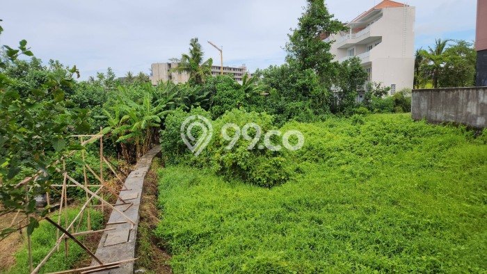 Lahan Disewakan Lokasi Cemagi Badung Luas 1000m2 Lahan Disewakan Lokasi Cemagi Badung Luas 1000m2