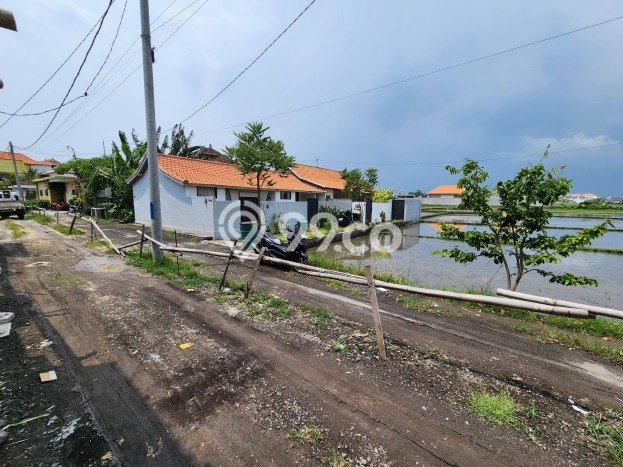 Tanah Disewa di Cemagi Strategis dan Memiliki Luas 580m2 Tanah Disewa di Cemagi Strategis dan Memiliki Luas 580m2