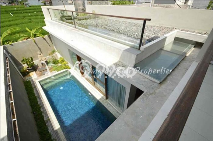 Rumah sewa siap huni 3 KT di canggu, Badung Rumah sewa siap huni 3 KT di canggu, Badung