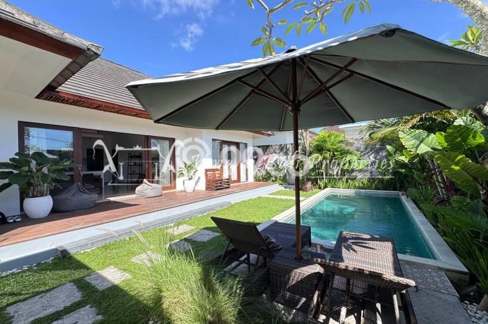 Jarang Ada! Rumah Kontrakan 3 Kamar Bagus Siap Huni Umalas Jarang Ada! Rumah Kontrakan 3 Kamar Bagus Siap Huni Umalas