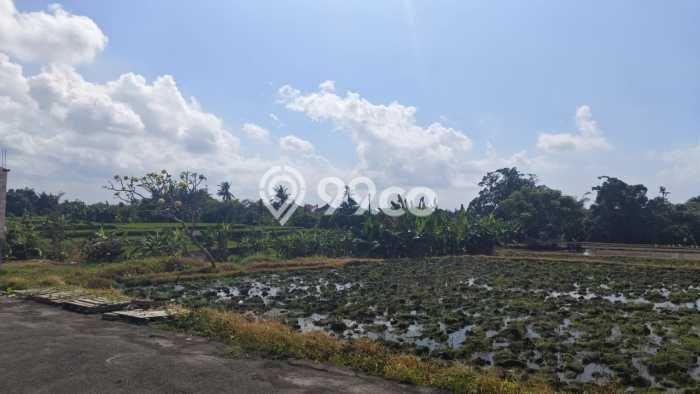 Tanah untuk Disewa di Gianyar Luas 200m2 Tanah untuk Disewa di Gianyar Luas 200m2