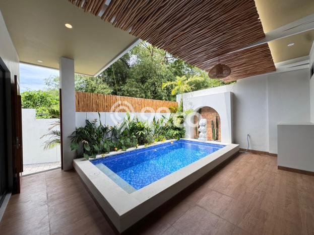 Rumah sewa siap huni 2 KT di canggu, Badung Rumah sewa siap huni 2 KT di canggu, Badung