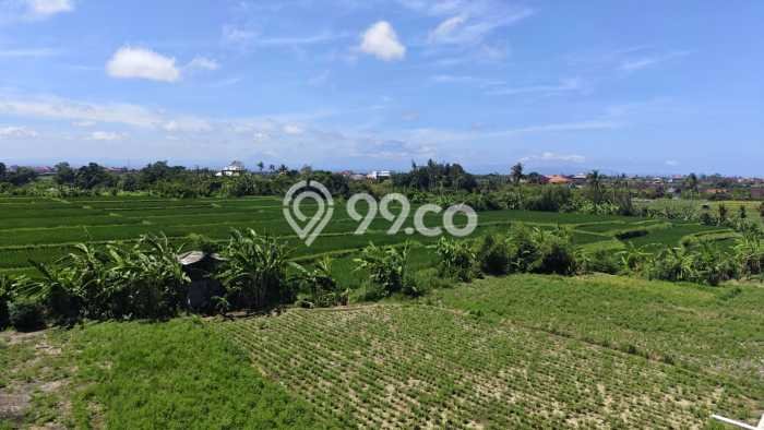 Tanah untuk Disewa di Gianyar Luas 200m2 Tanah untuk Disewa di Gianyar Luas 200m2