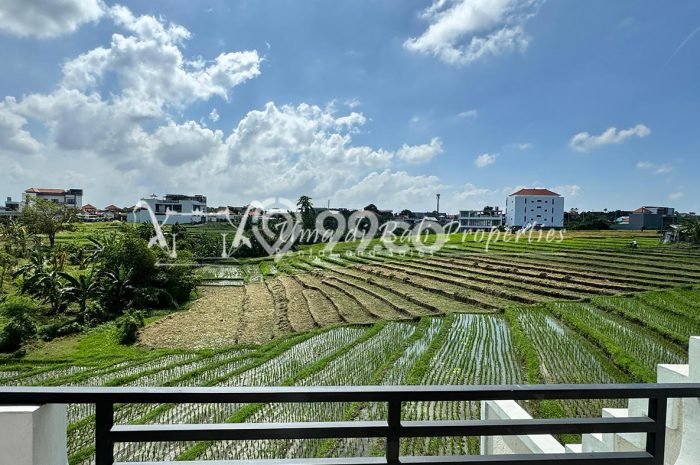 Rumah Kontrakan Badung LT 100m2 LB 60m2 Kawasan canggu Rumah Kontrakan Badung LT 100m2 LB 60m2 Kawasan canggu