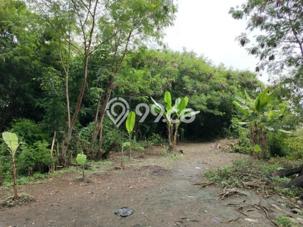 Tanah Kavling Dijual di Rorotan, Jakarta Utara dengan Luas Tanah 6065m2 Tanah Kavling Dijual di Rorotan, Jakarta Utara dengan Luas Tanah 6065m2