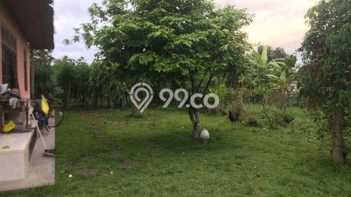 Tanah Kawasan Ubud, Luas 2450m2m², Lokasi Strategis, Kawasan Nyaman, Kontur Datar Tanah Kawasan Ubud, Luas 2450m2m², Lokasi Strategis, Kawasan Nyaman, Kontur Datar