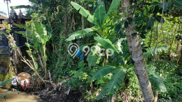 Tanah Area Berkembang di Kerambitan, Luas 400m2m², Kawasan Asri, Akses Kerambitan, Tabanan, Tabanan Tanah Area Berkembang di Kerambitan, Luas 400m2m², Kawasan Asri, Akses Kerambitan, Tabanan, Tabanan