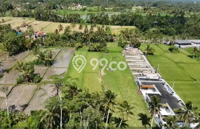 Tanah Kawasan Ubud, Luas 3130m2m², Area Berkembang Tanah Kawasan Ubud, Luas 3130m2m², Area Berkembang