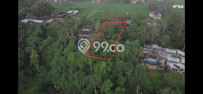 Tanah Lokasi Strategis Kawasan Ubud, Luas 1900m2m², Akses ke Fasilitas Umum Tanah Lokasi Strategis Kawasan Ubud, Luas 1900m2m², Akses ke Fasilitas Umum