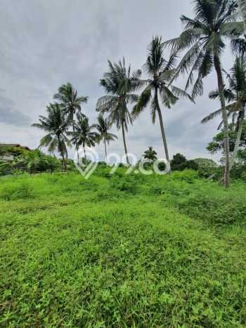 Tanah Dijual di Badung Seluas 1898m2 Strategis Tanah Dijual di Badung Seluas 1898m2 Strategis