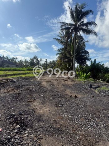 Tanah Premium di Ubud, Luas 2700m2m², Akses Ubud, Gianyar, Gianyar Tanah Premium di Ubud, Luas 2700m2m², Akses Ubud, Gianyar, Gianyar