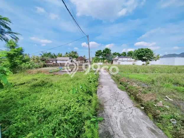 Lahan untuk Dijual Lokasi Ubud, Gianyar Luas 200m2 - Lahan untuk Dijual Lokasi Ubud, Gianyar Luas 200m2 -