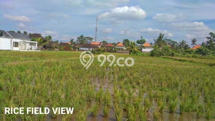Lahan untuk Dijual Lokasi Ubud, Gianyar Luas 200m2 - Lahan untuk Dijual Lokasi Ubud, Gianyar Luas 200m2 -