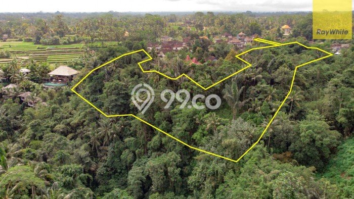 Tanah di Ubud, Luas 12619m2m², Sertifikat Hak Milik, Akses Ubud, Gianyar, Gianyar Tanah di Ubud, Luas 12619m2m², Sertifikat Hak Milik, Akses Ubud, Gianyar, Gianyar