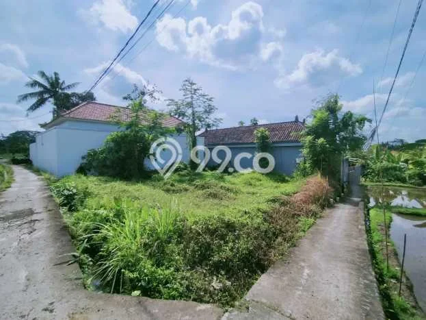 Lahan untuk Dijual Lokasi Ubud, Gianyar Luas 200m2 - Lahan untuk Dijual Lokasi Ubud, Gianyar Luas 200m2 -