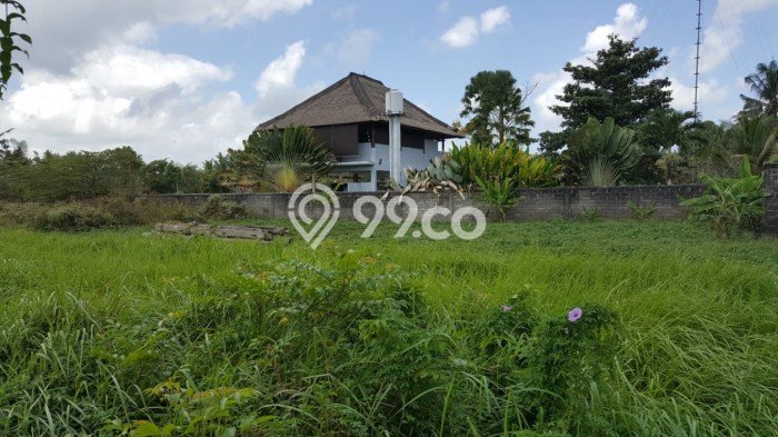 LOKASI STRATEGIS! Tanah Kawasan Ubud, Luas 2726m2m², Kawasan Potensial, Cocok untuk Investasi LOKASI STRATEGIS! Tanah Kawasan Ubud, Luas 2726m2m², Kawasan Potensial, Cocok untuk Investasi