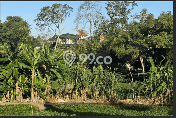 Dijual Tanah di Badung, Luas 1067m2 - Dijual Tanah di Badung, Luas 1067m2 -