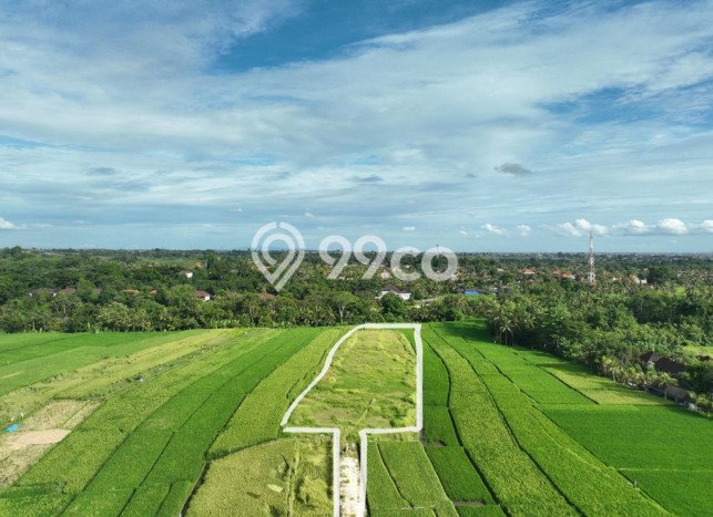 HOT DEAL! Tanah di Kaba kaba, Luas 4900m², Lokasi Premium HOT DEAL! Tanah di Kaba kaba, Luas 4900m², Lokasi Premium