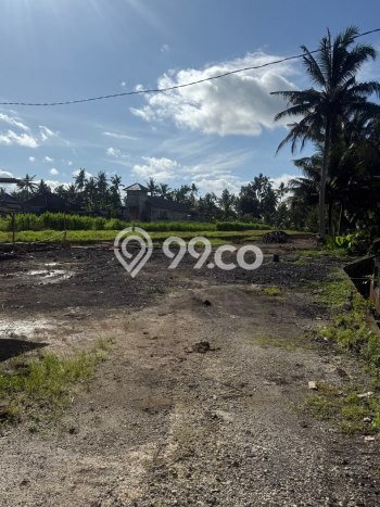 Tanah Premium di Ubud, Luas 2700m2m², Akses Ubud, Gianyar, Gianyar Tanah Premium di Ubud, Luas 2700m2m², Akses Ubud, Gianyar, Gianyar