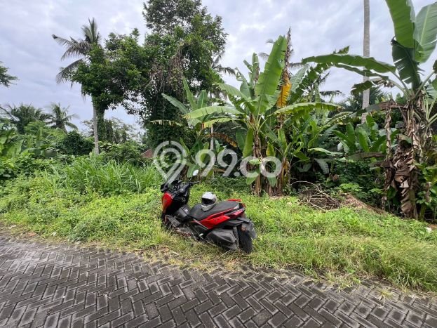 Tanah Lokasi Strategis Kawasan Ubud, Luas 1900m2m², Akses ke Fasilitas Umum Tanah Lokasi Strategis Kawasan Ubud, Luas 1900m2m², Akses ke Fasilitas Umum