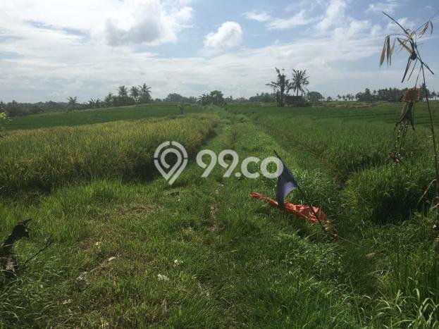 PRIME LOCATION! Tanah di Klecung, Luas 680m², Ideal untuk Investasi PRIME LOCATION! Tanah di Klecung, Luas 680m², Ideal untuk Investasi