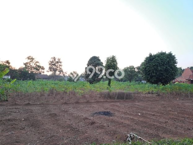 Untuk Dijual Tanah di Semarang, Luas 6813m2 SHM Untuk Dijual Tanah di Semarang, Luas 6813m2 SHM