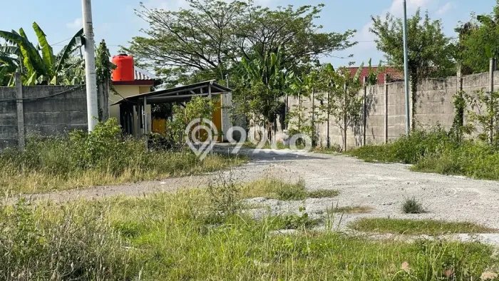 Komersial Dijual di Genuk LT 6m2, LB 846m2 Solusi Investasi Cerdas Komersial Dijual di Genuk LT 6m2, LB 846m2 Solusi Investasi Cerdas