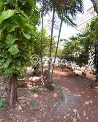 Siap Huni Rumah Mewah 4 Kamar di Kebon Jeruk Dekat ke Mana Saja Siap Huni Rumah Mewah 4 Kamar di Kebon Jeruk Dekat ke Mana Saja