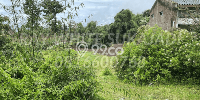 Jarang Ada! Tanah di Lembang Punya Luas 3180m2 SHM Jarang Ada! Tanah di Lembang Punya Luas 3180m2 SHM
