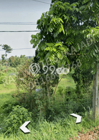 Jarang Ada! Tanah di Lembang Punya Luas 3180m2 SHM Jarang Ada! Tanah di Lembang Punya Luas 3180m2 SHM