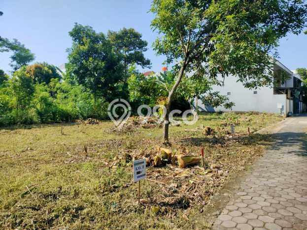 Kavling Tanah Dijual di Tembalang Semarang Spesifikasi 248m2 Kavling Tanah Dijual di Tembalang Semarang Spesifikasi 248m2