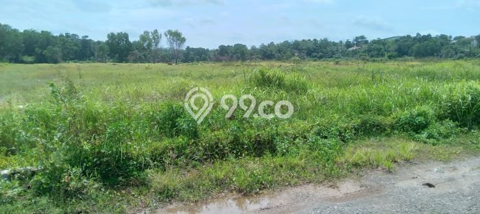 Tanah Kavling untuk Dijual di Tigaraksa Tangerang 3000m2 Tanah Kavling untuk Dijual di Tigaraksa Tangerang 3000m2