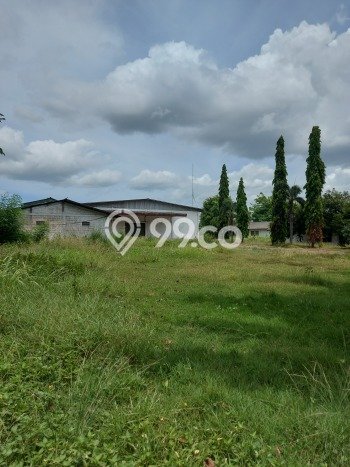 Gudang Disewa di Tangerang dengan LB 5000m2 Area Komersial Ramai Gudang Disewa di Tangerang dengan LB 5000m2 Area Komersial Ramai