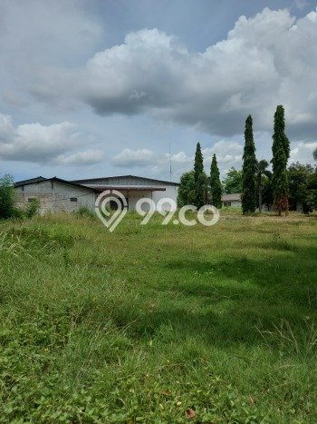Gudang Disewa di Tangerang dengan LB 5000m2 Area Komersial Ramai Gudang Disewa di Tangerang dengan LB 5000m2 Area Komersial Ramai