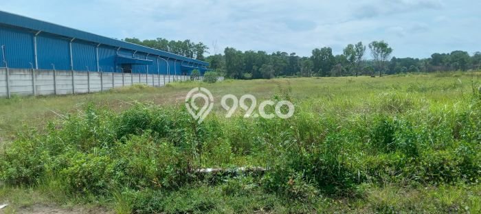 Tanah Kavling untuk Dijual di Tigaraksa Tangerang 3000m2 Tanah Kavling untuk Dijual di Tigaraksa Tangerang 3000m2