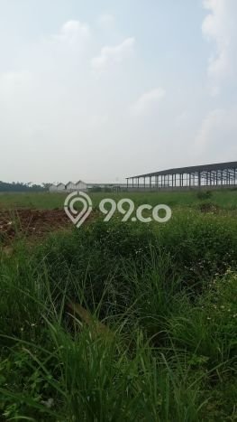 Tanah Dijual Lokasi Legok, Tangerang Luas 50000m2 Legalitas Aman Tanah Dijual Lokasi Legok, Tangerang Luas 50000m2 Legalitas Aman