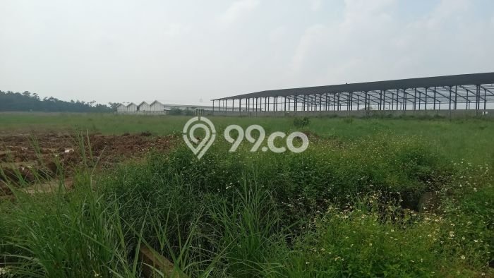 Tanah Dijual Lokasi Legok, Tangerang Luas 50000m2 Legalitas Aman Tanah Dijual Lokasi Legok, Tangerang Luas 50000m2 Legalitas Aman
