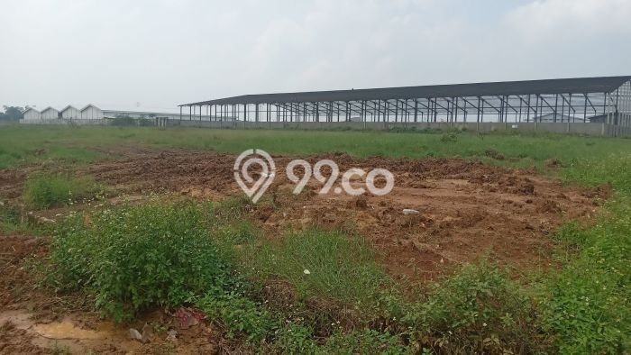 Tanah Dijual Lokasi Legok, Tangerang Luas 50000m2 Legalitas Aman Tanah Dijual Lokasi Legok, Tangerang Luas 50000m2 Legalitas Aman