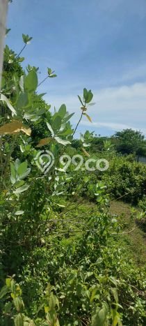 Dijual Tanah Lokasi Jatake, Tangerang Seluas 9282m2 Dijual Tanah Lokasi Jatake, Tangerang Seluas 9282m2