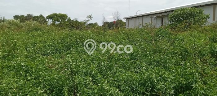 Tanah Kavling untuk Dijual di Tigaraksa Tangerang 3000m2 Tanah Kavling untuk Dijual di Tigaraksa Tangerang 3000m2