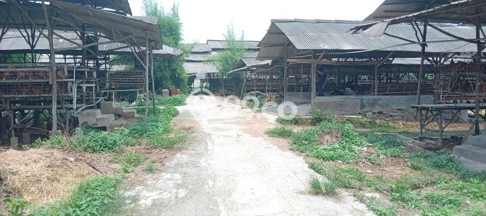 Kavling Tanah di Legok Dijual Luas 30000m2 Legalitas SHM Kavling Tanah di Legok Dijual Luas 30000m2 Legalitas SHM