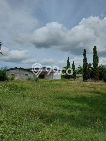 Gudang Disewa di Tangerang dengan LB 5000m2 Area Komersial Ramai Gudang Disewa di Tangerang dengan LB 5000m2 Area Komersial Ramai